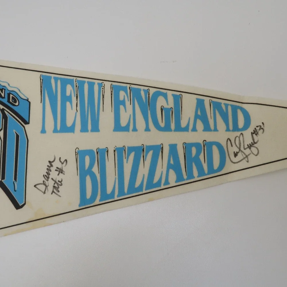 Vintage New England Blizzard ABL Basketball League Pennant Felt Autographed Sign